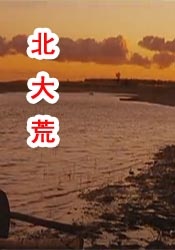 台湾中文娱乐在线